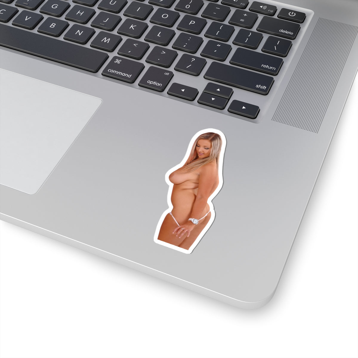 Pinup Girl Sticker Adult Stickers