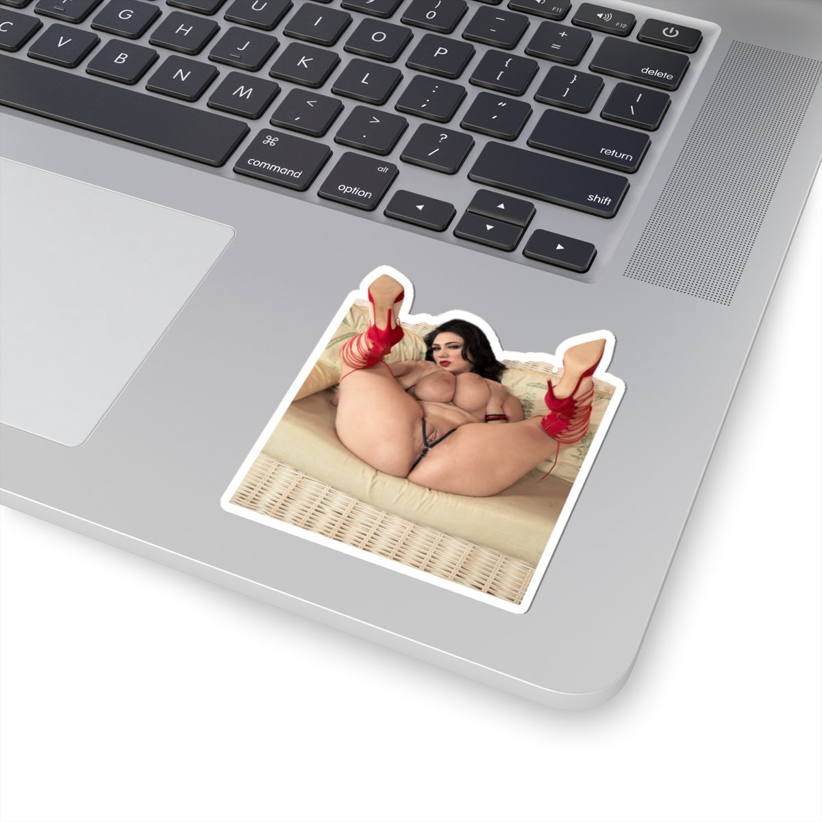Adult Stickers Big Tits Sexy Girl Mature Sticker