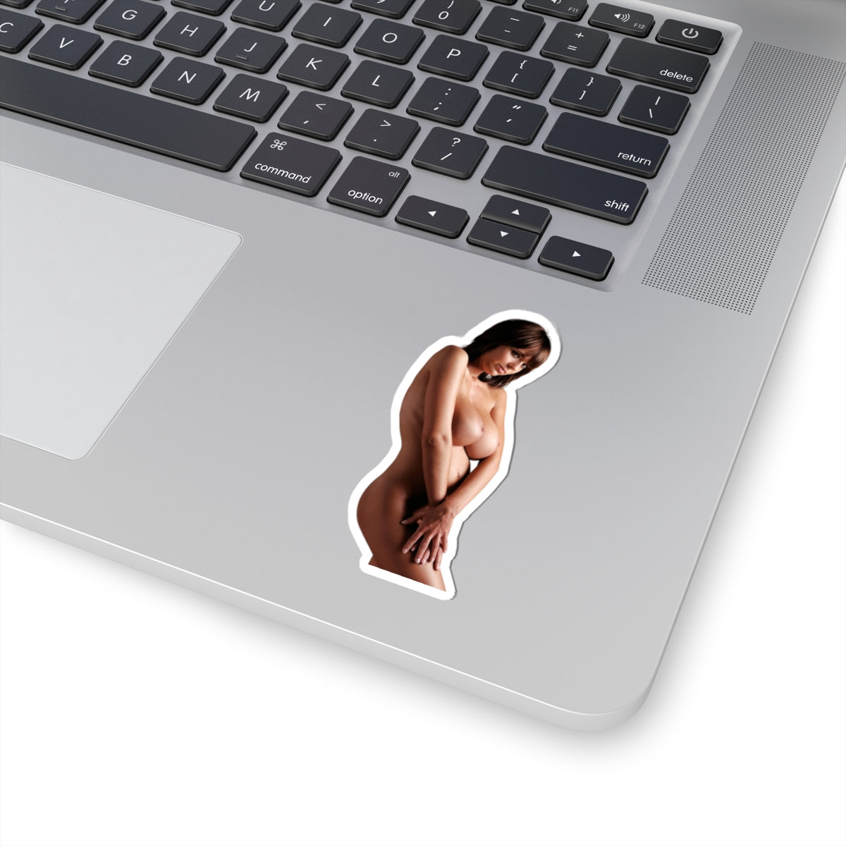 Gabrielle Sexy Girl Sticker Big Breast Stickers