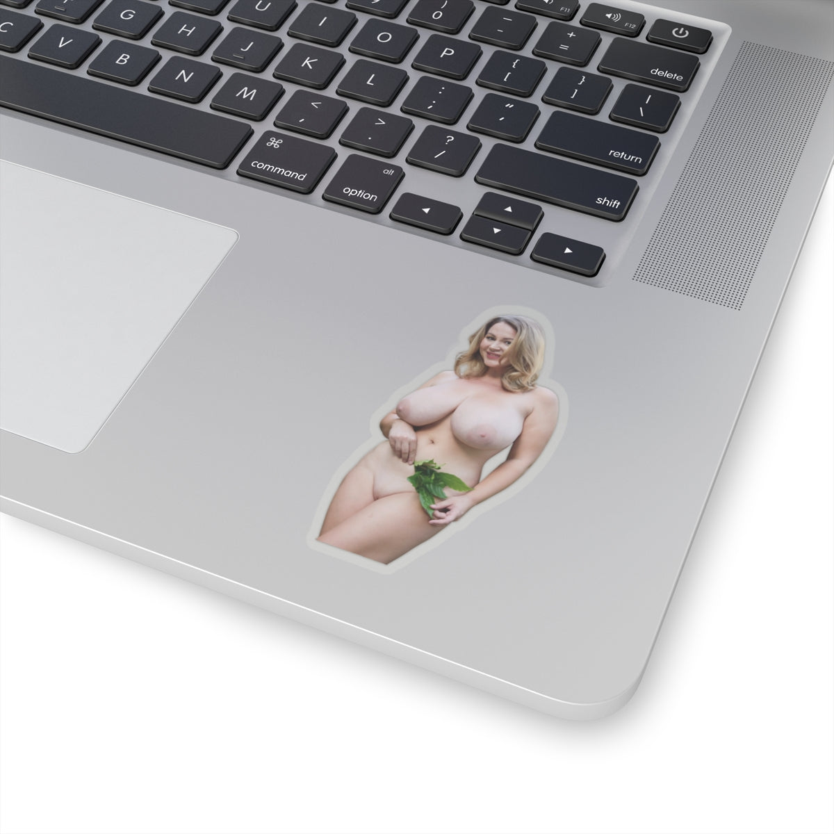 Big Tits Girl Sticker Pinup Model Adult Stickers