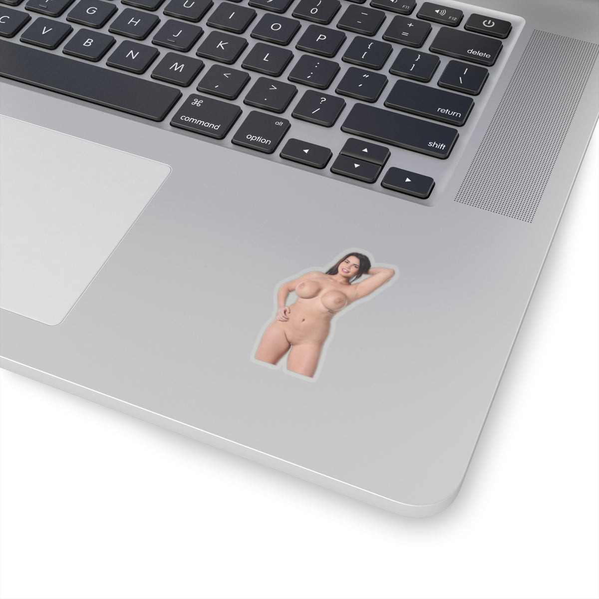 Beautiful Big Tits Girl Sticker