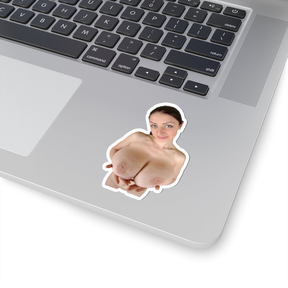 Big Boobs Girl Sticker