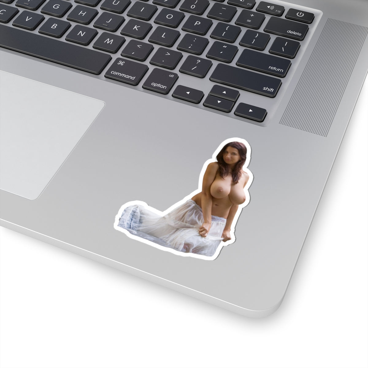 Busty Girl Sticker Big Boobs Women