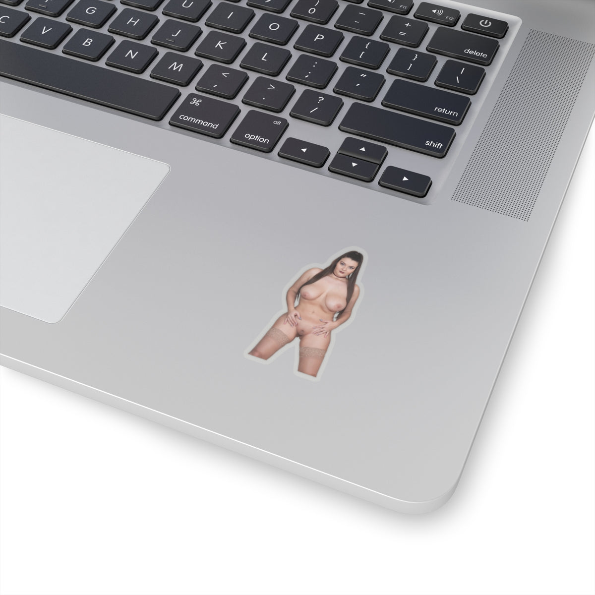 Hot Naked Woman Adult Sticker – Big Bust Beauty