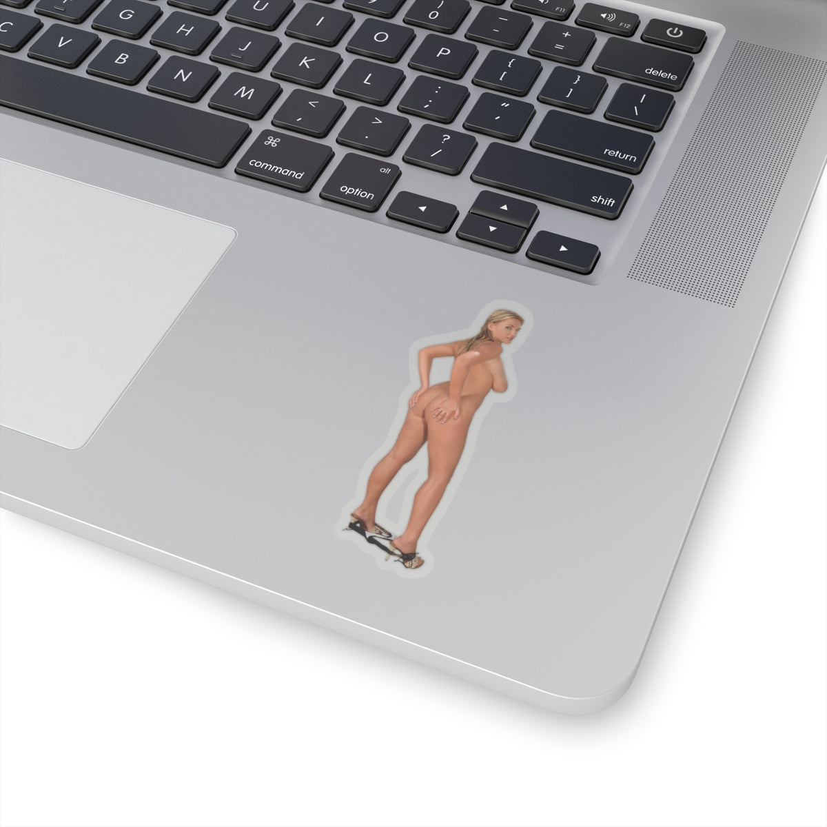 Blonde Sexy Naked Girl Ass Tits Stickers