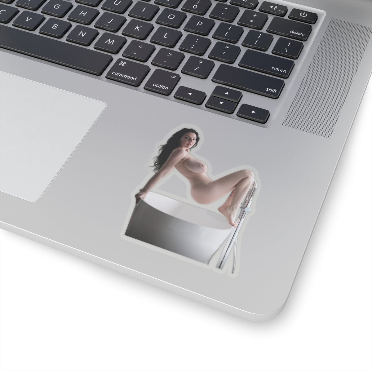 Big Tits Laurine Model Stickers Sexy Women Sticker