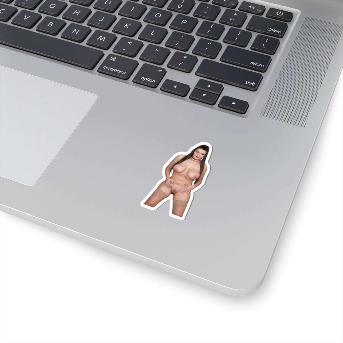Hot Naked Woman Adult Sticker – Big Bust Beauty