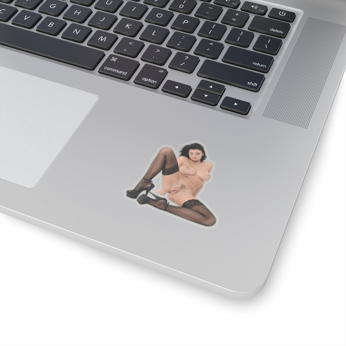 sexy brunette sticker big tits women pinup model stickers