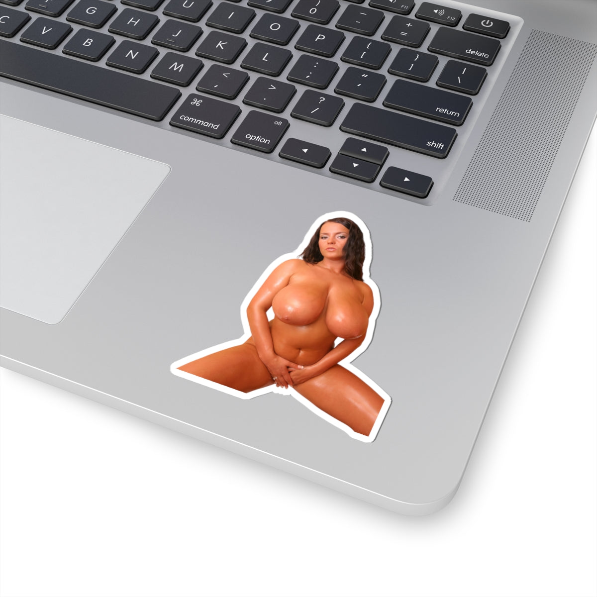 Big Boobs Tan Girl Sticker Nudes Naked Model Stickers