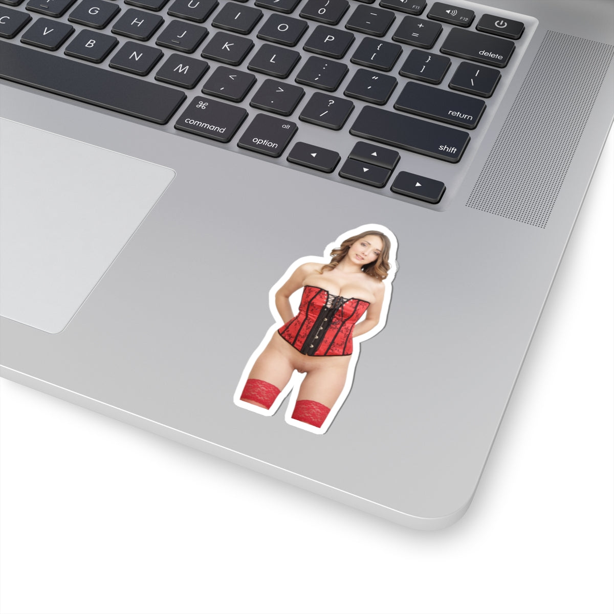 Naked Women Sticker Sexy Girl Adult Stickers