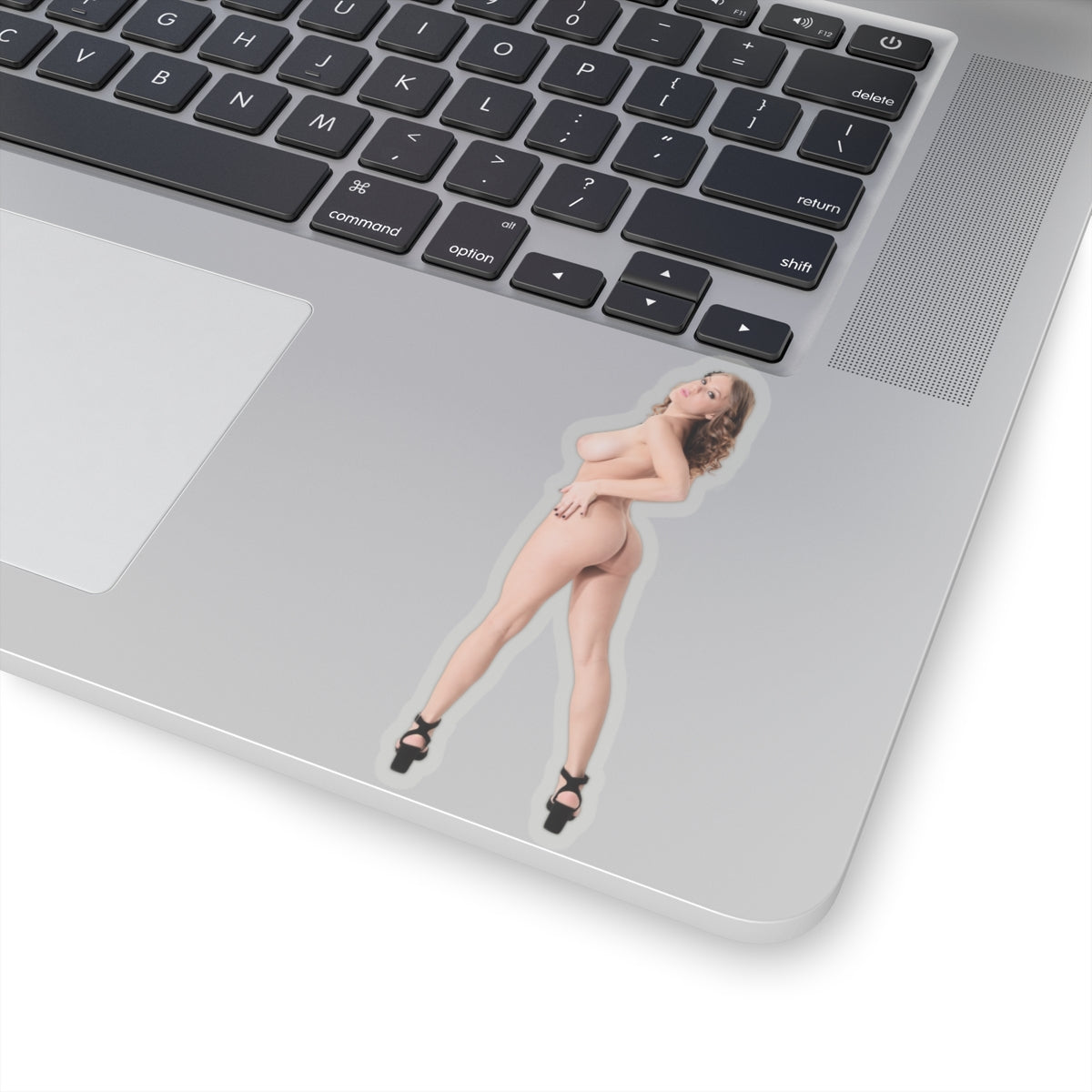 Naked Ass Sticker SExy Model Stickers