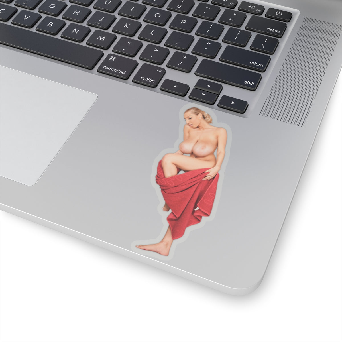 Sexy Big Tits Sticker