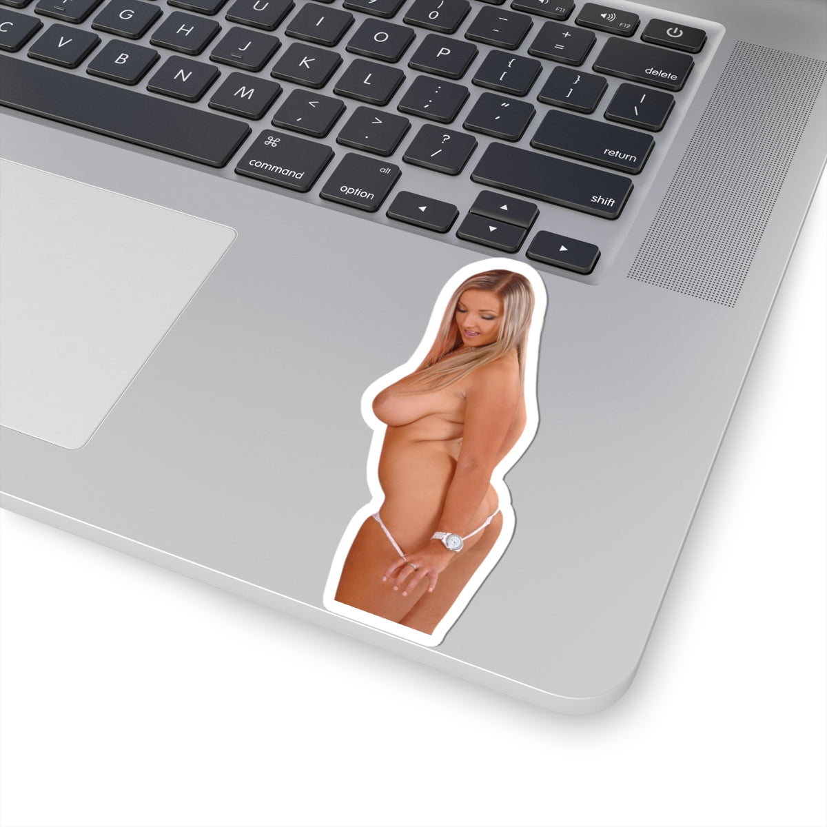 Pinup Girl Sticker Adult Stickers