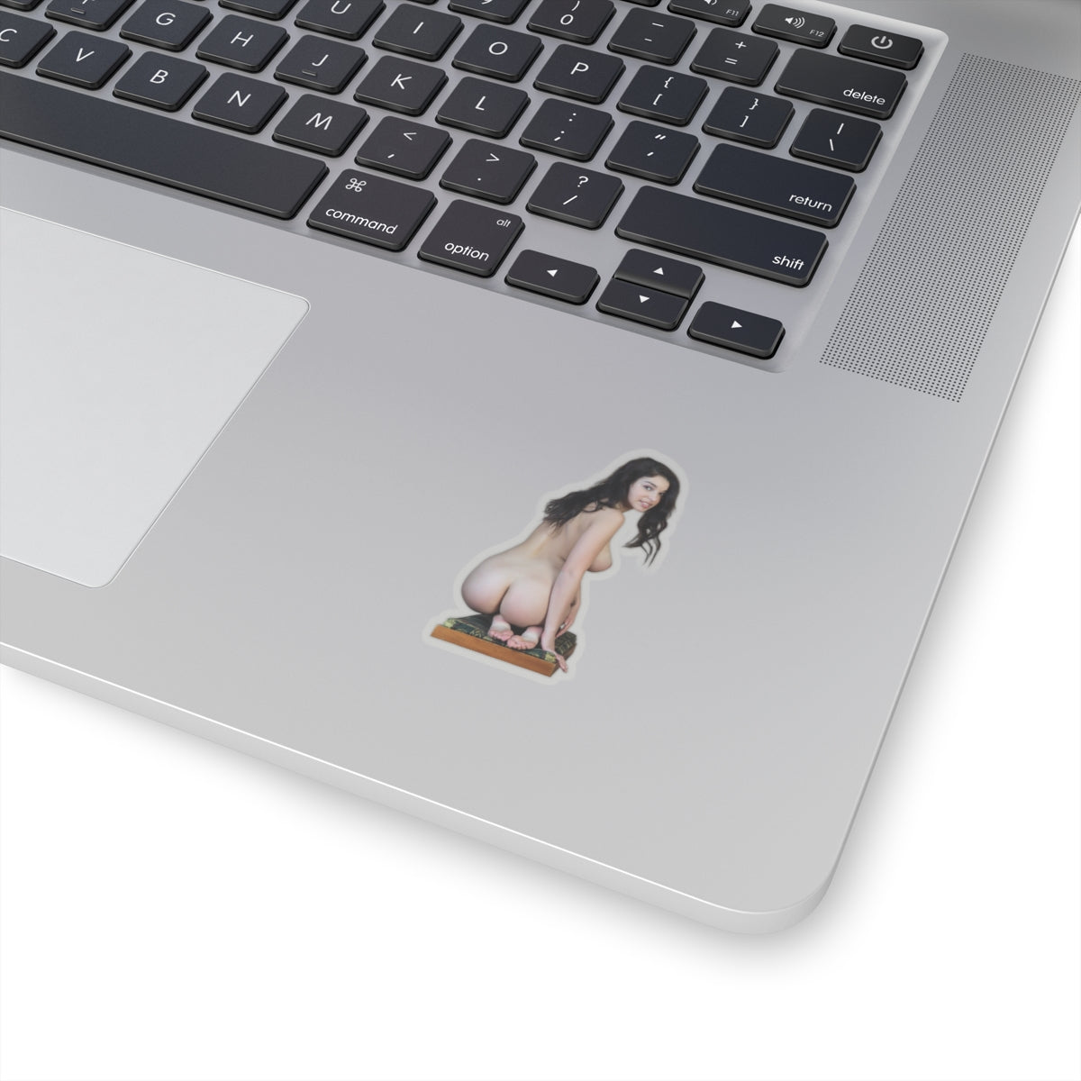 Adult Pinup Girl Sticker Sexy Nude Model Big Bust Vinyl Car Laptop Decal