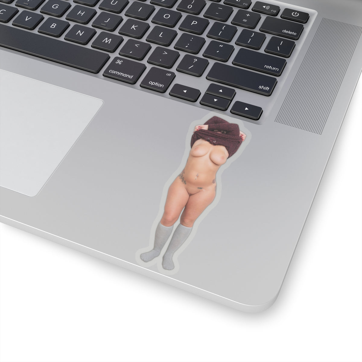 Sexy Model Sticker Naked Pinup Girls Stickers