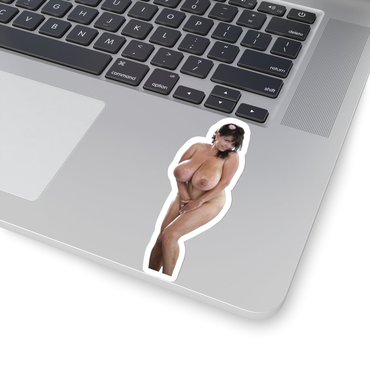 Pretty Naked Women Sticker Pinup Stickers Sexy Girl Funny Model EE183 E183