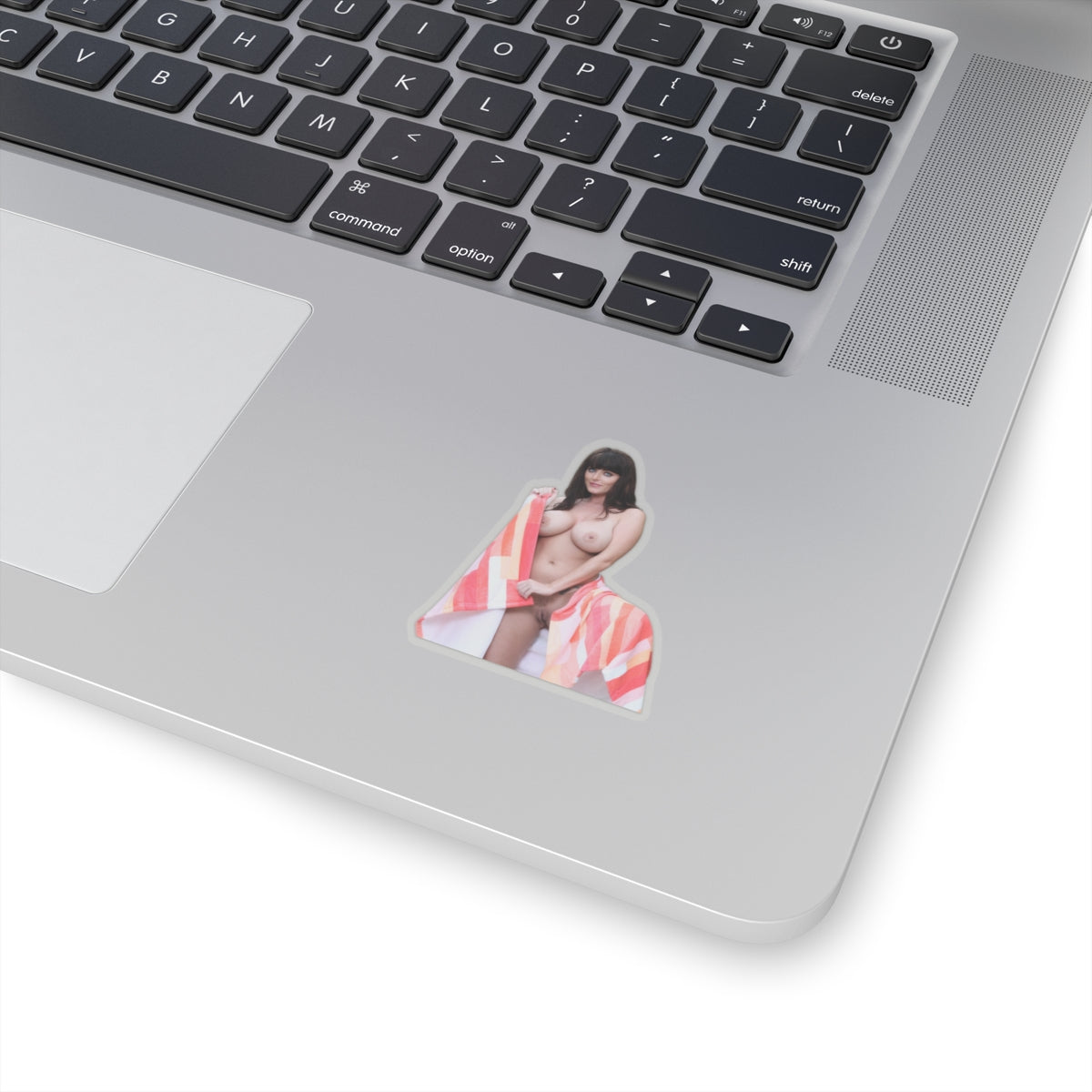 Sexy Beautiful Woman Sticker, Pretty Girl With Stunning Eyes, Towel Pinup Vinyl Decal