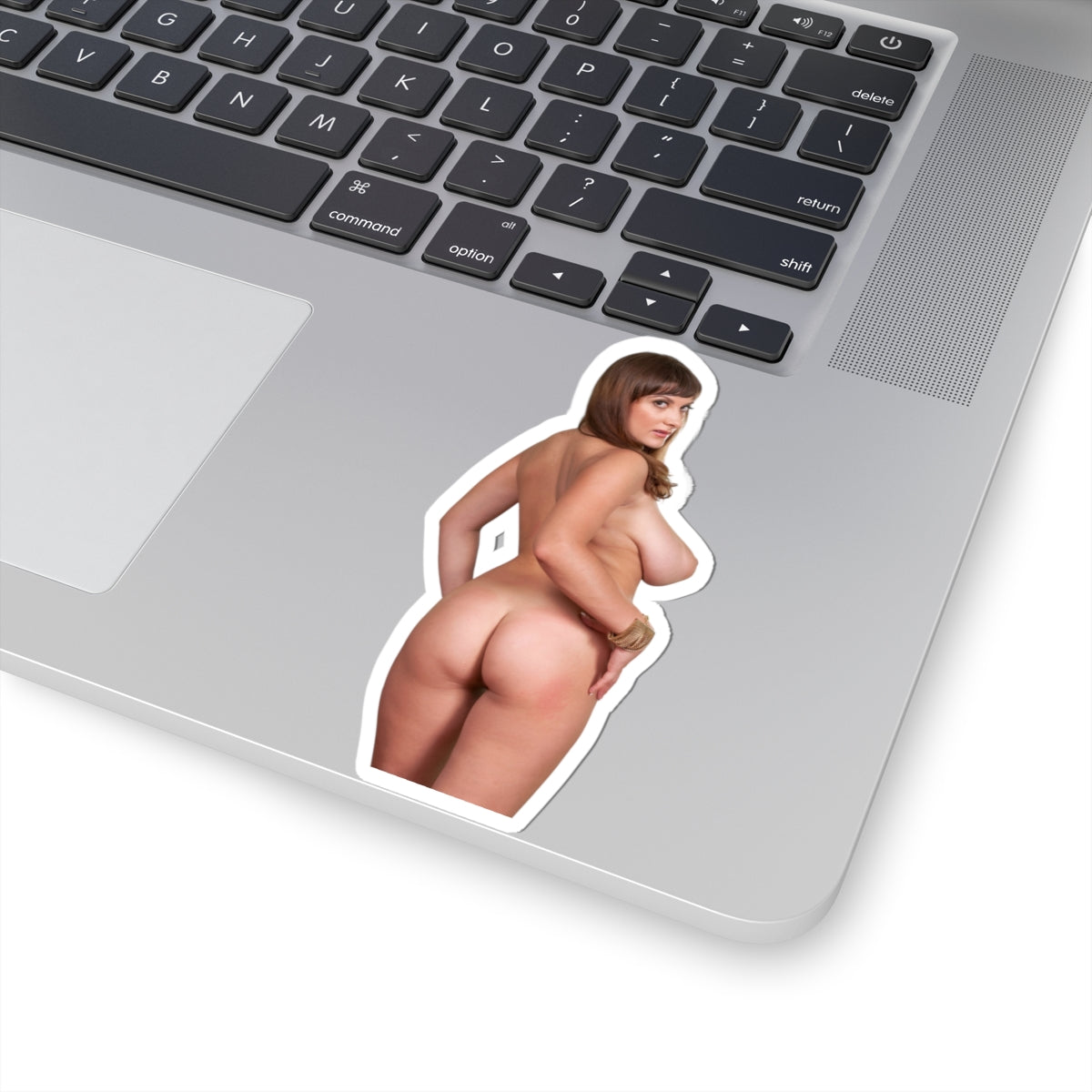Big Tits Girl Sticker Uncensoerd Stickers For Adults