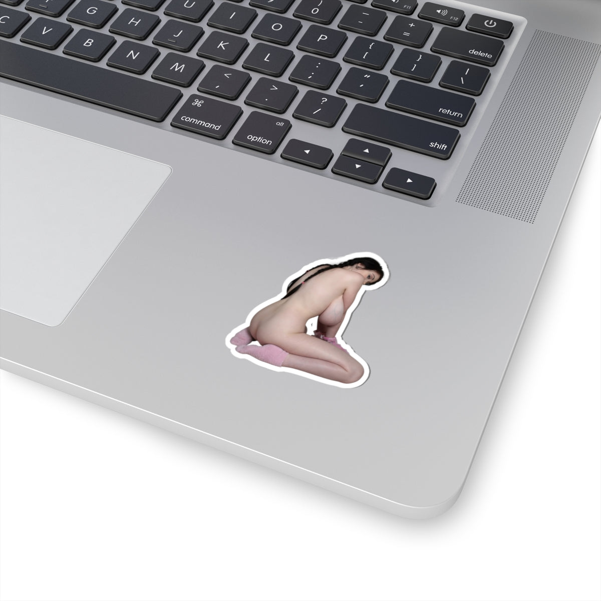 Pinup Girl Pinup Beauty Big Boobs Sticker Cool Laptop Ass Decal