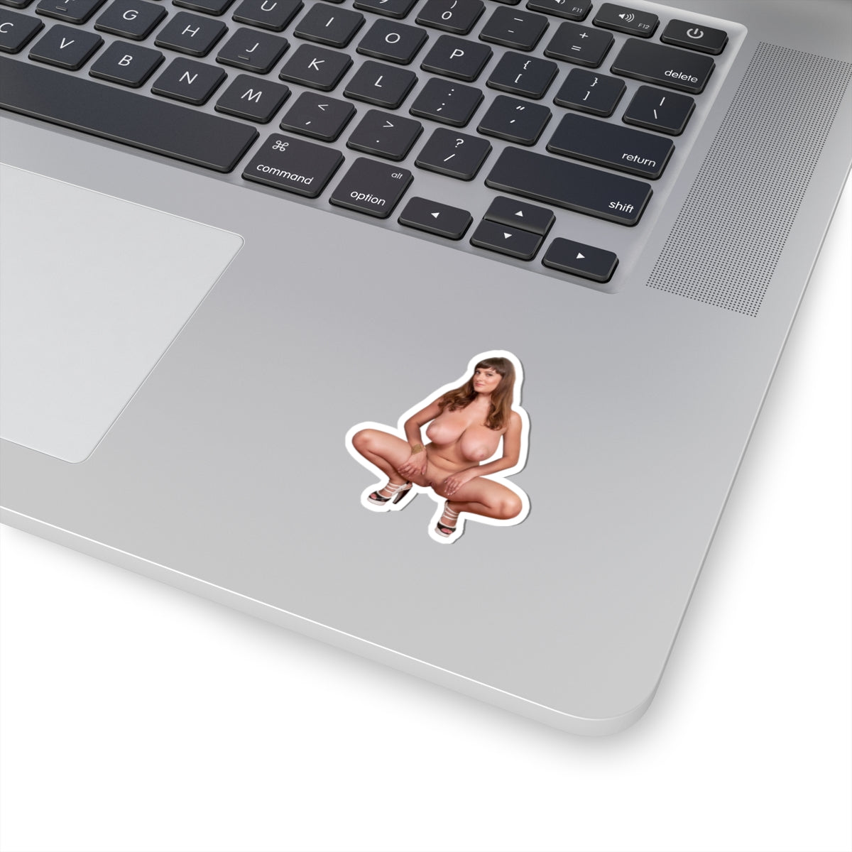 Big Tits Girl Sticker Uncensoerd Stickers For Adult