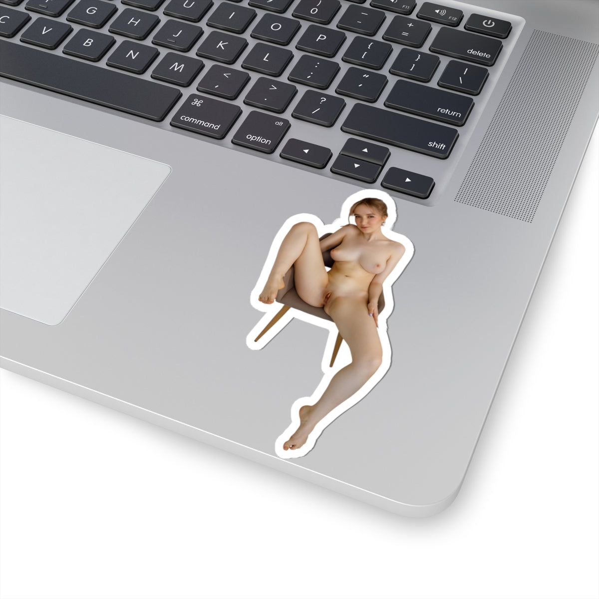 Pinup Stickers Sexy Naked Women Sticker