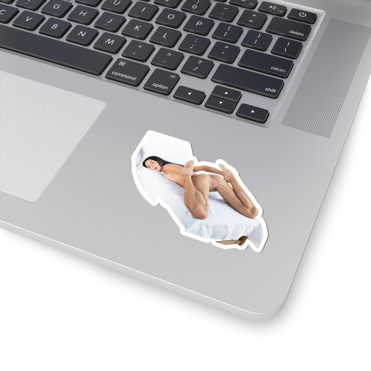 Pinup Model Sticker 5 Sexy Girl