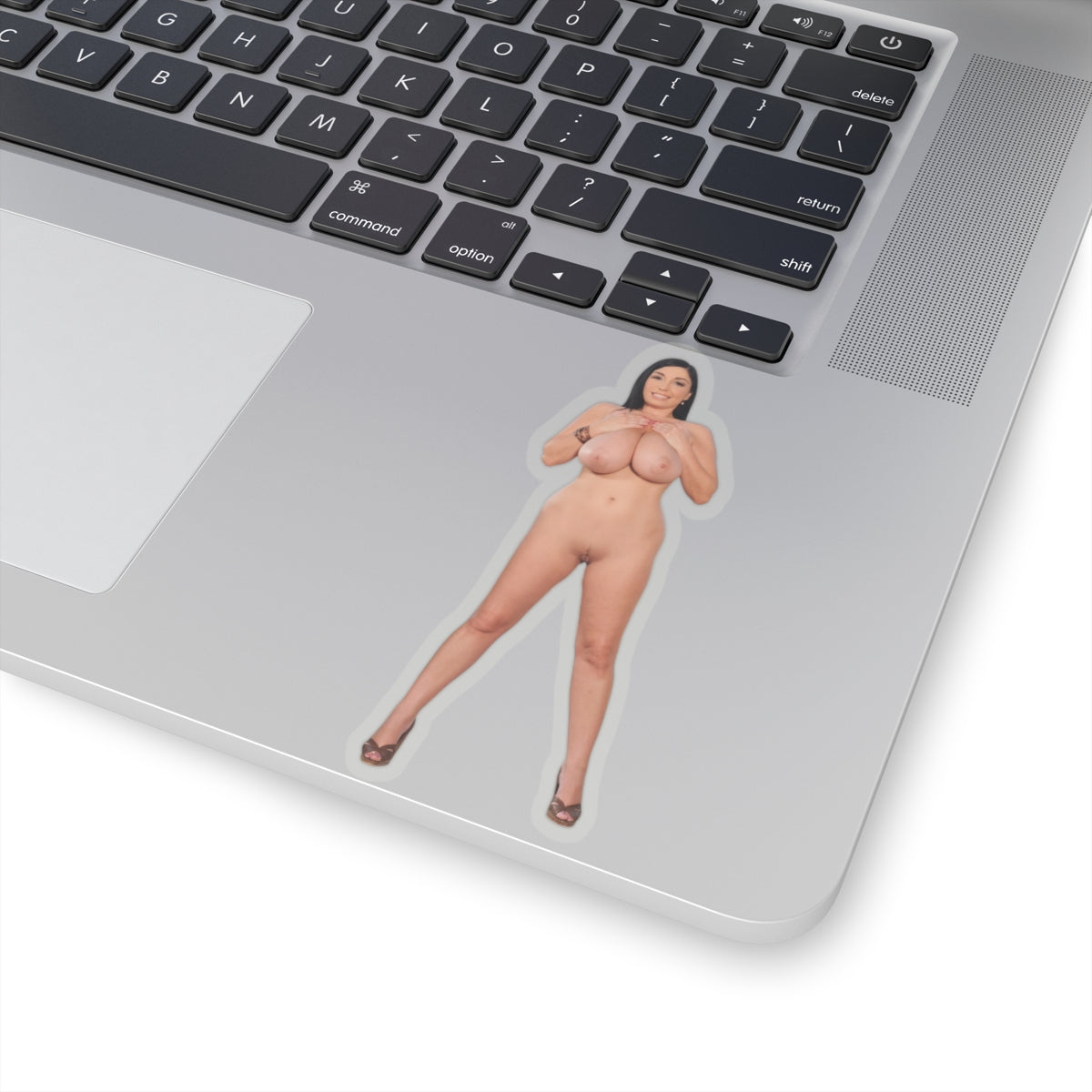 Curvy Pinup Girl Vinyl Sticker Adult Decal Glamour Model Artwork