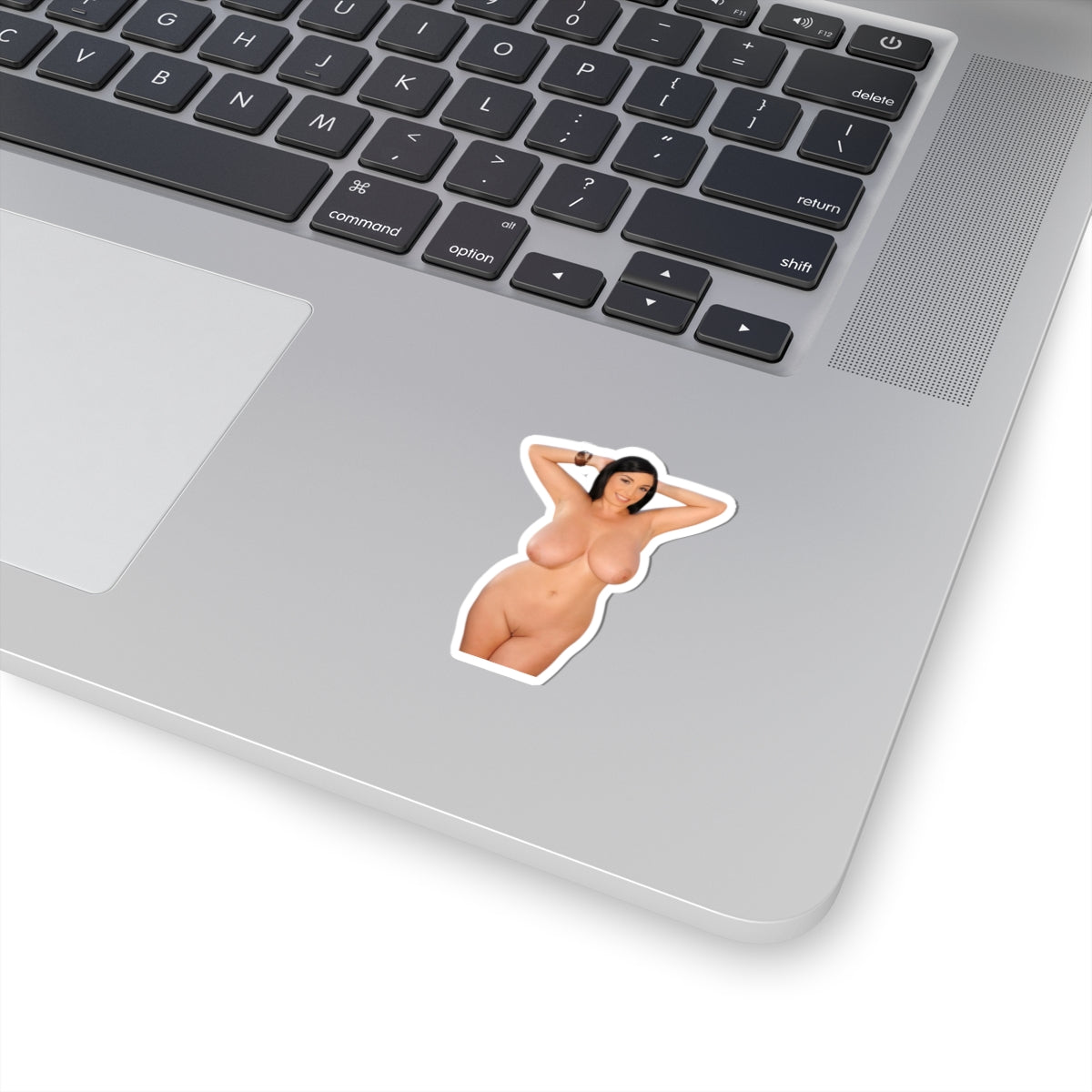 Busty Pinup Model Vinyl Sticker Adult Decal Sexy Woman Design