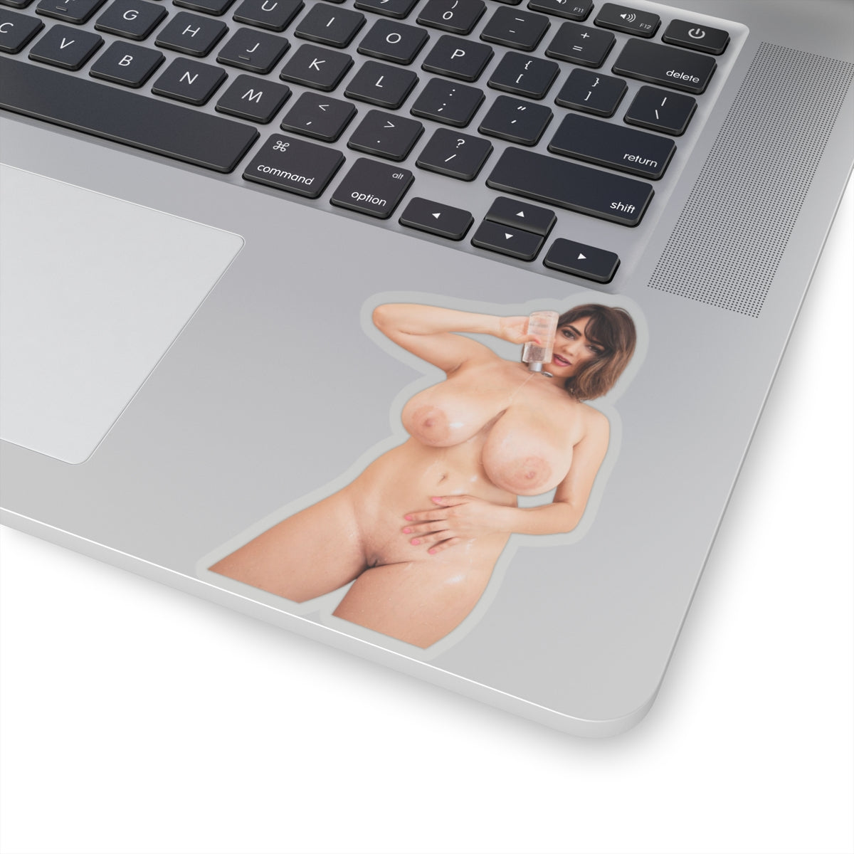 Nude Sexy Woman Sticker Pin-Up Girl Big Tits Vinyl Decal Adult Collection