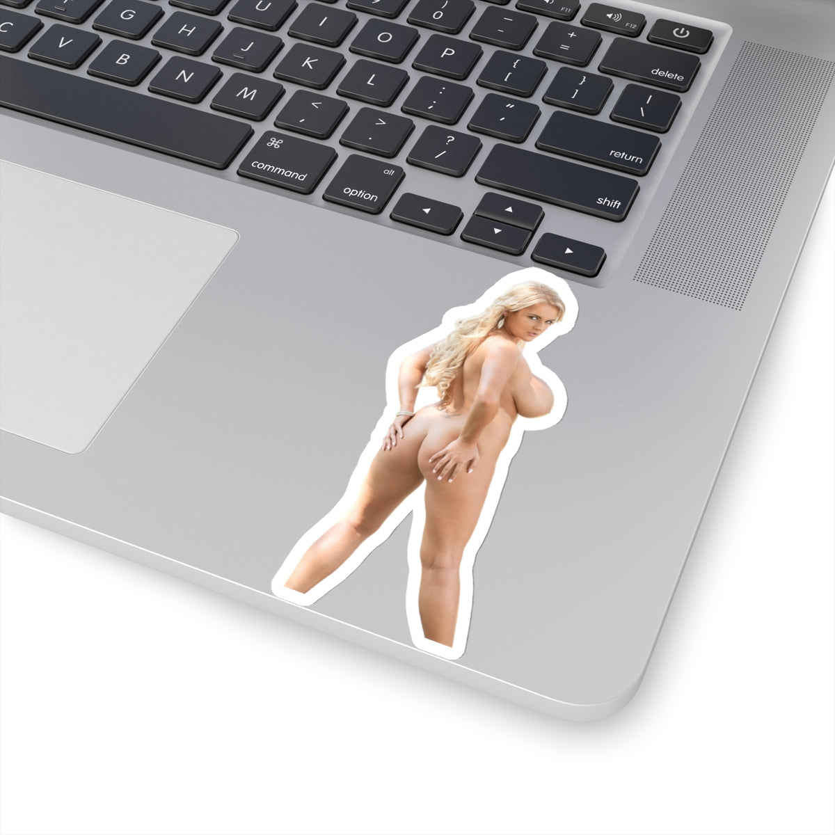 Hot Blond Model Pinup Girl Sticker Mature Naked Women Stickers Uncensored Adult Art E388