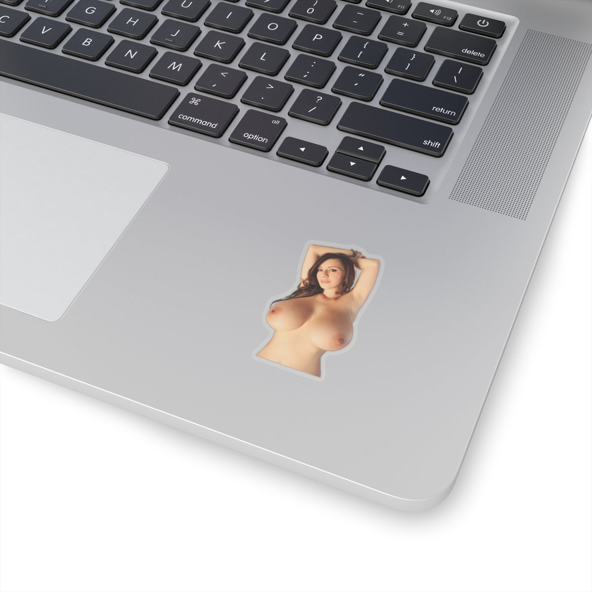 Naked Topless Girl Sticker Big Boobs Model Stickers