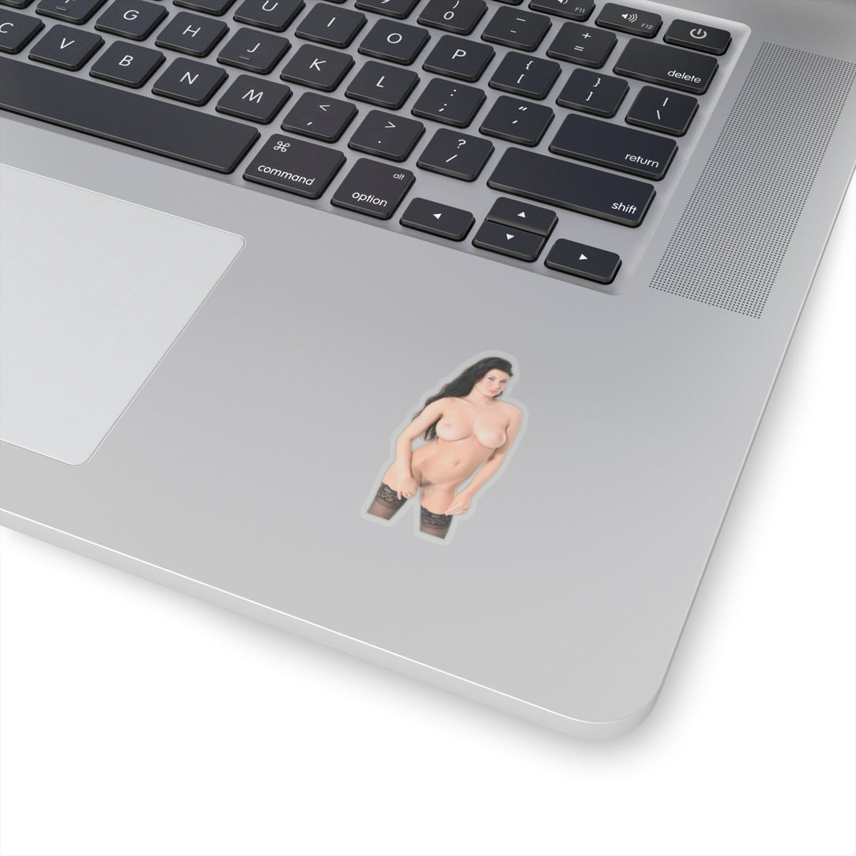sexy brunette sticker big tits girl pinup model stickers