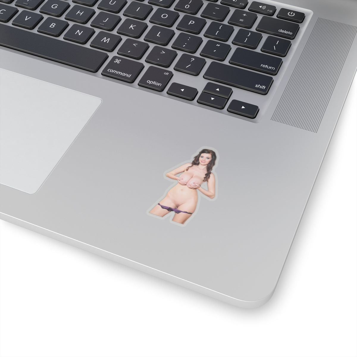 Big Boobs Girl Sticker Adult Stickers