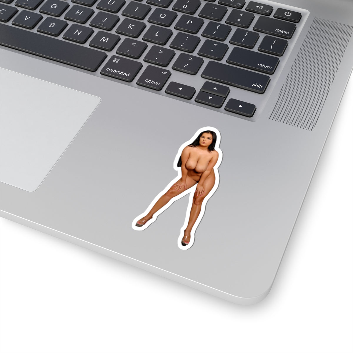 Busty Babe Stickers Sexy Women Stickers