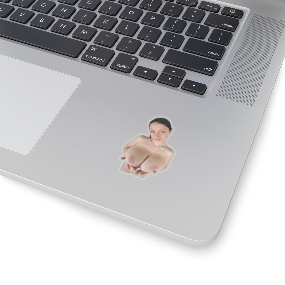 Big Boobs Girl Sticker