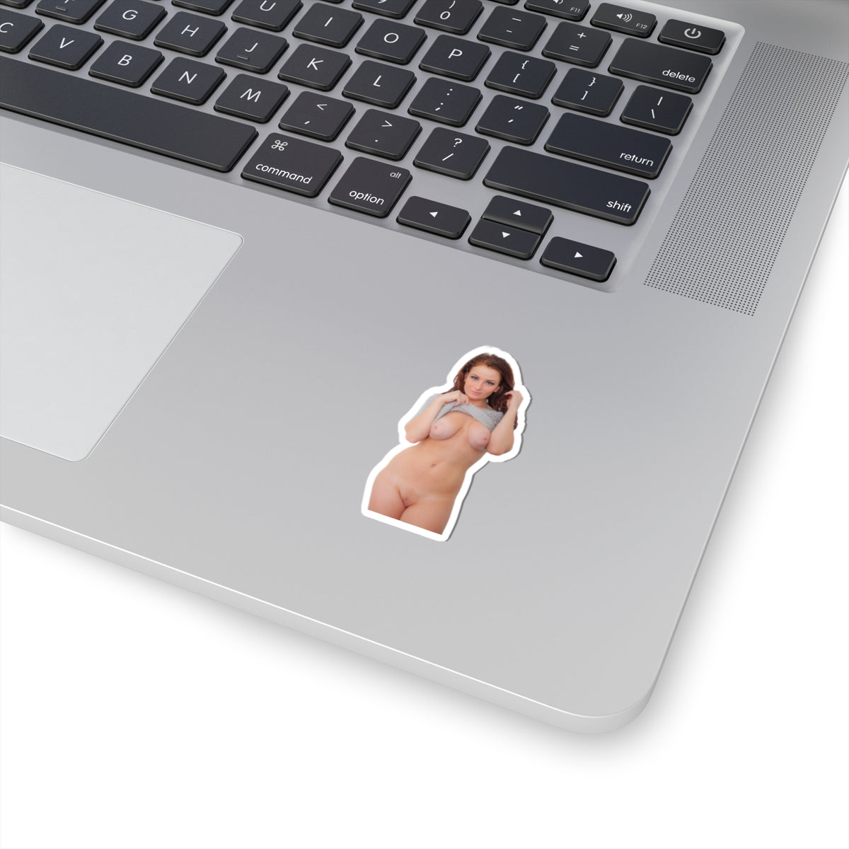 Sexy Girl Sticker Naked Pinup Women Stickers