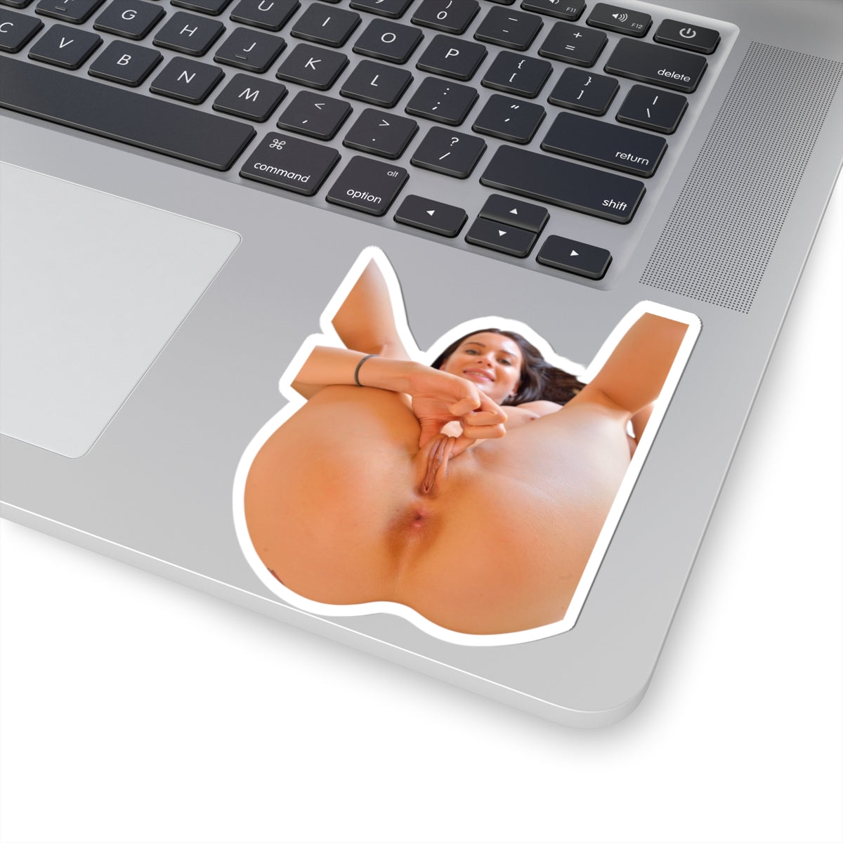 PRETTY GIRL STICKER SEXY PINUP MODEL STICKERS