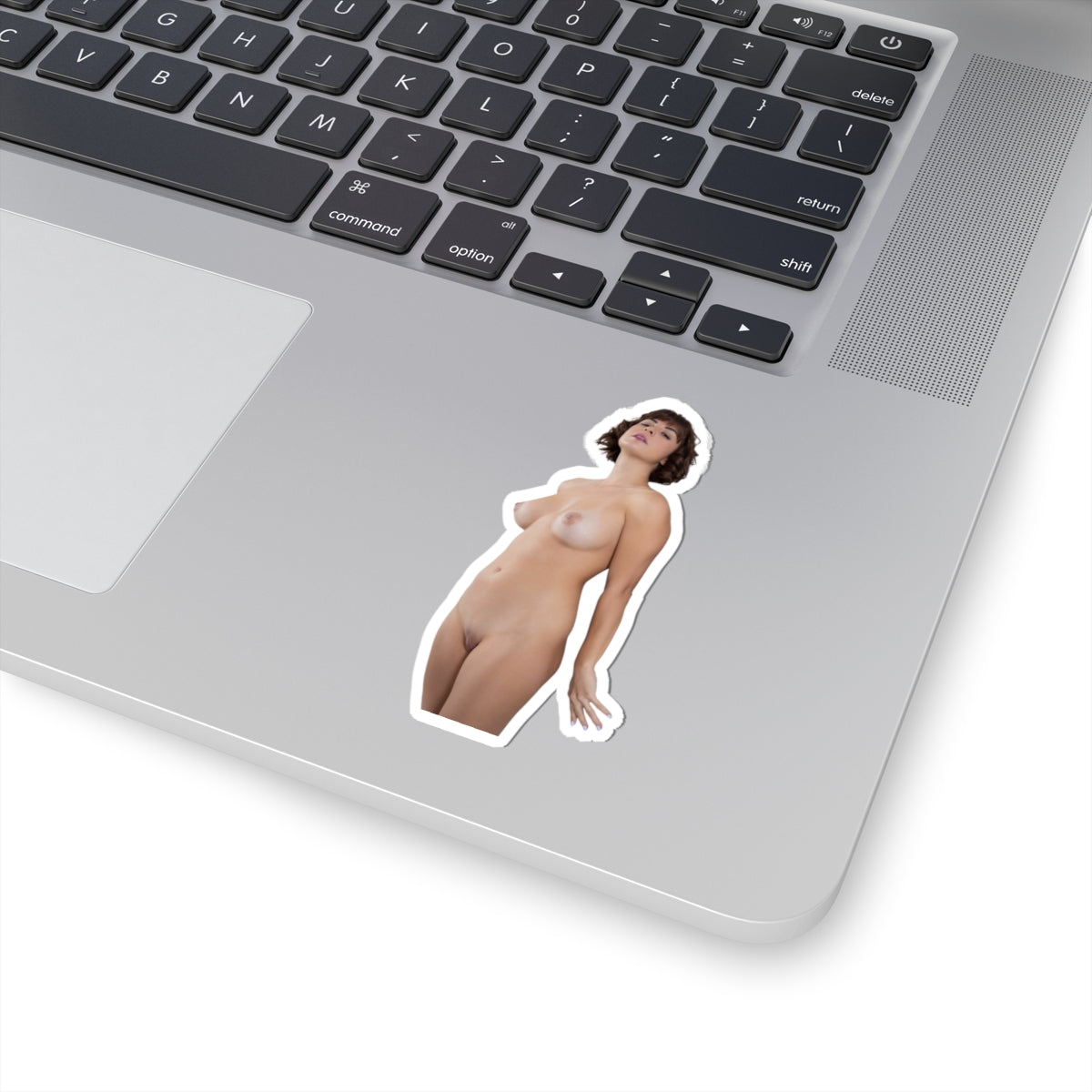 Sexy Girl Sticker Pinup Model Decals