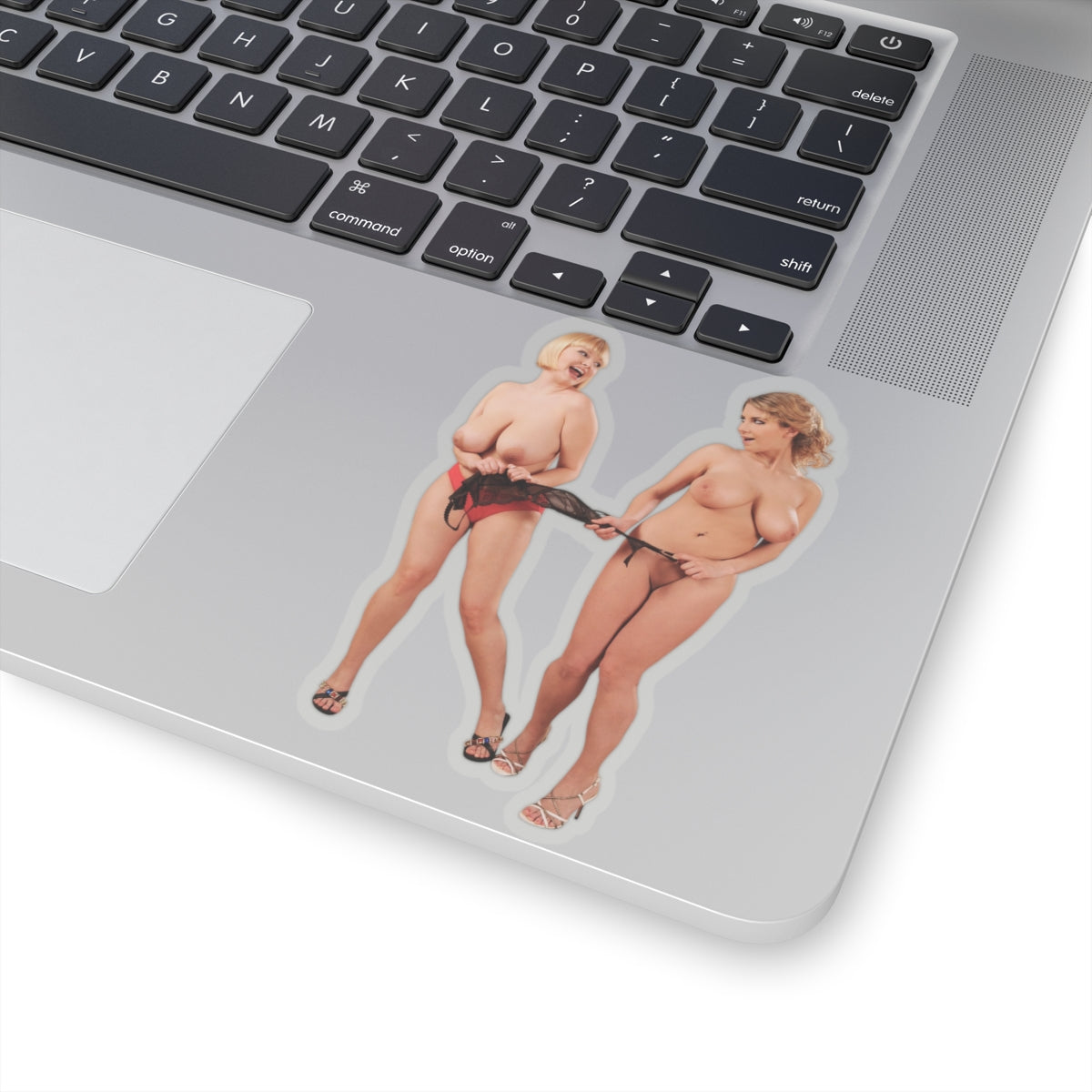 Sexy Big Bust Women Stickers Curvy Girl Vinyl Decal