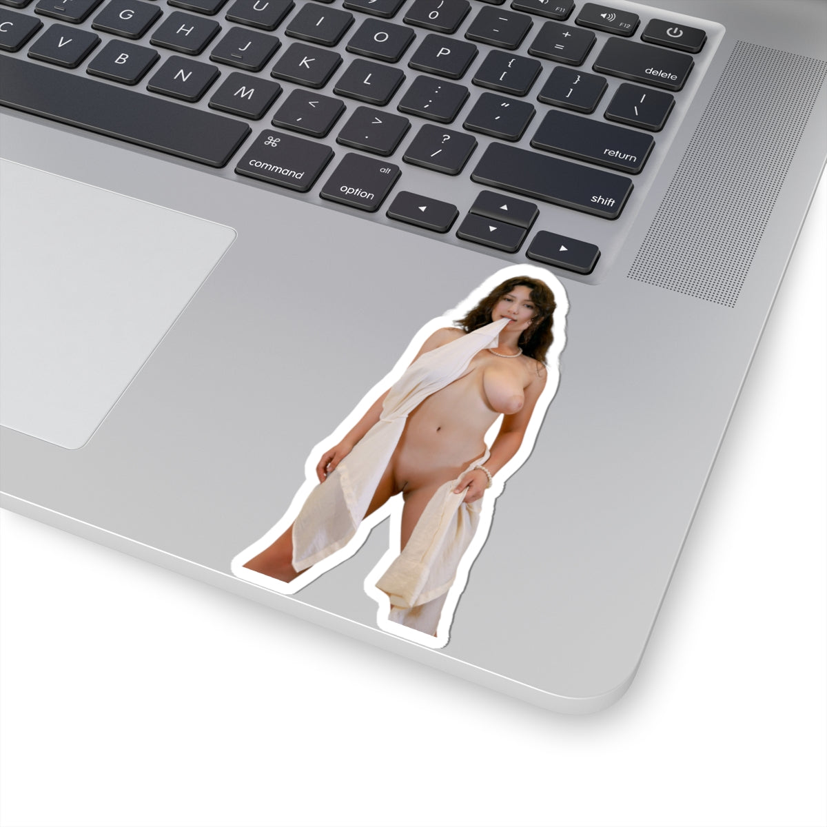 Nude Model Pinup Stickers