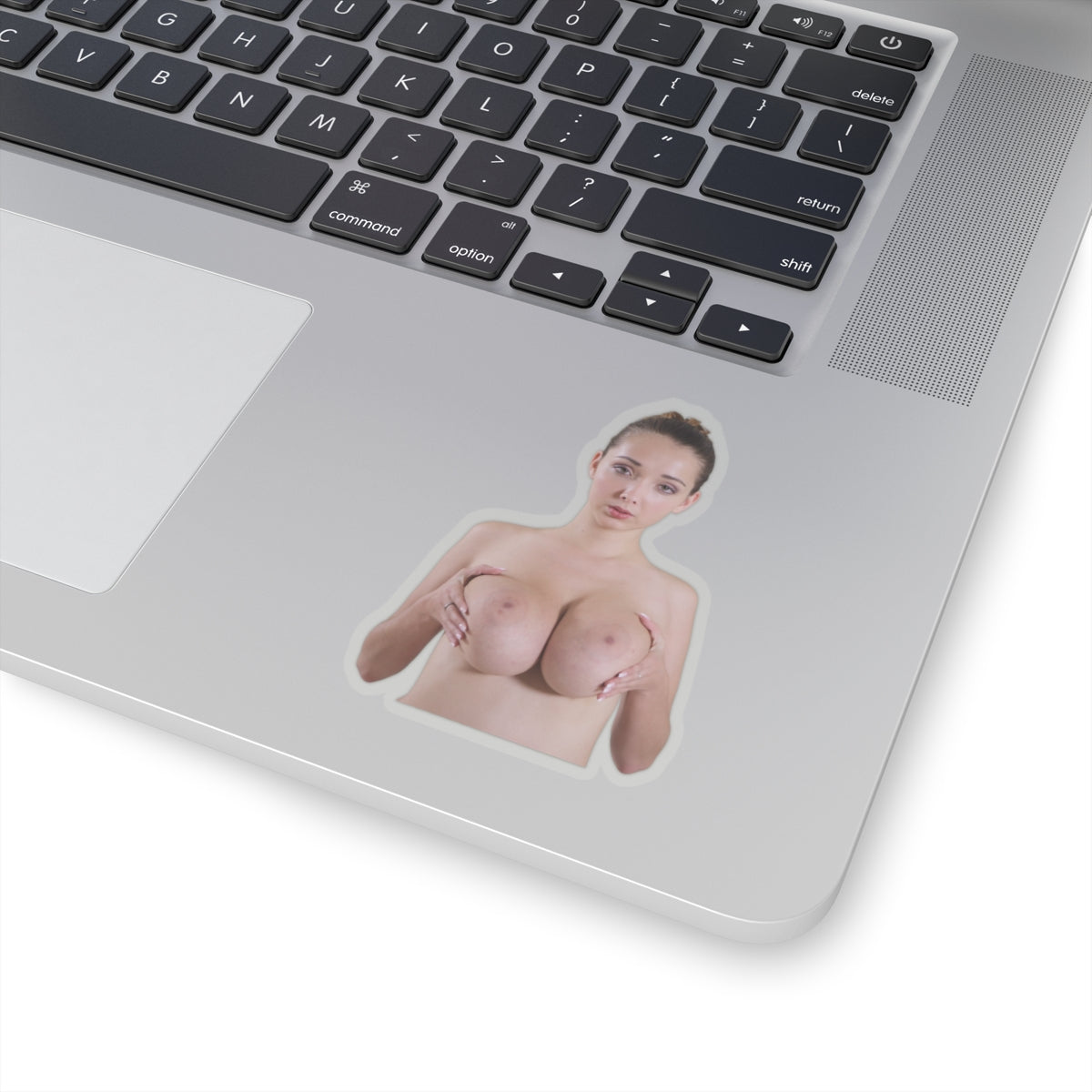 Naked Big Boobs Girl Sticker