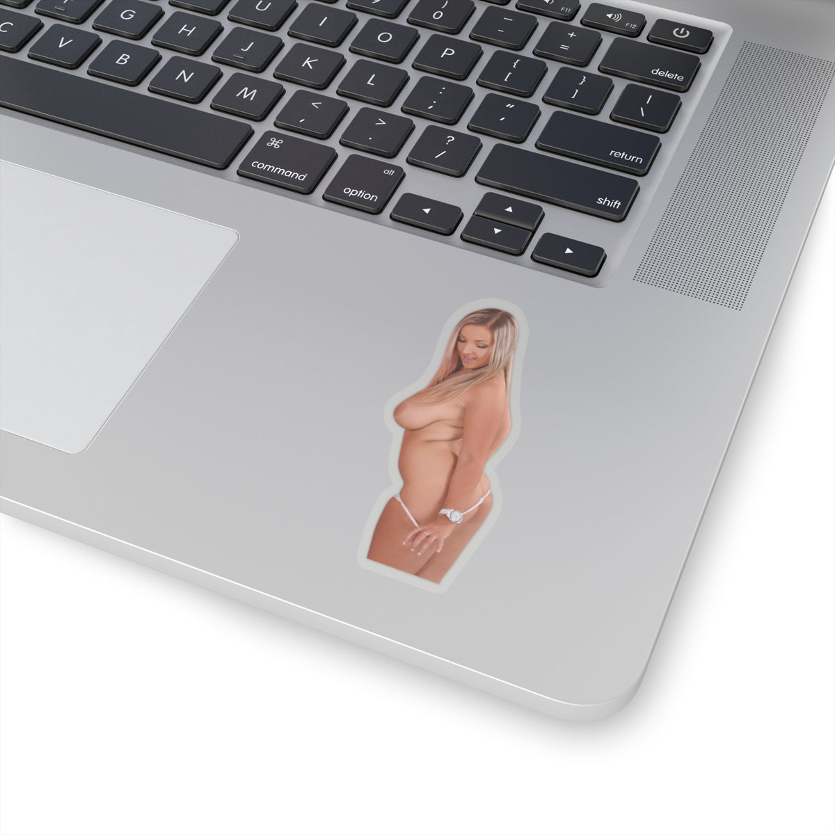 Pinup Girl Sticker Adult Stickers