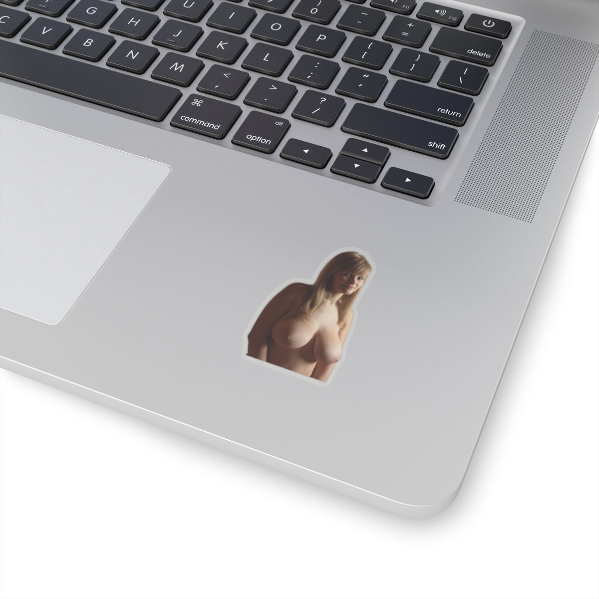 Sexy Big Boobs Girl Sticker Adult Stickers For Men
