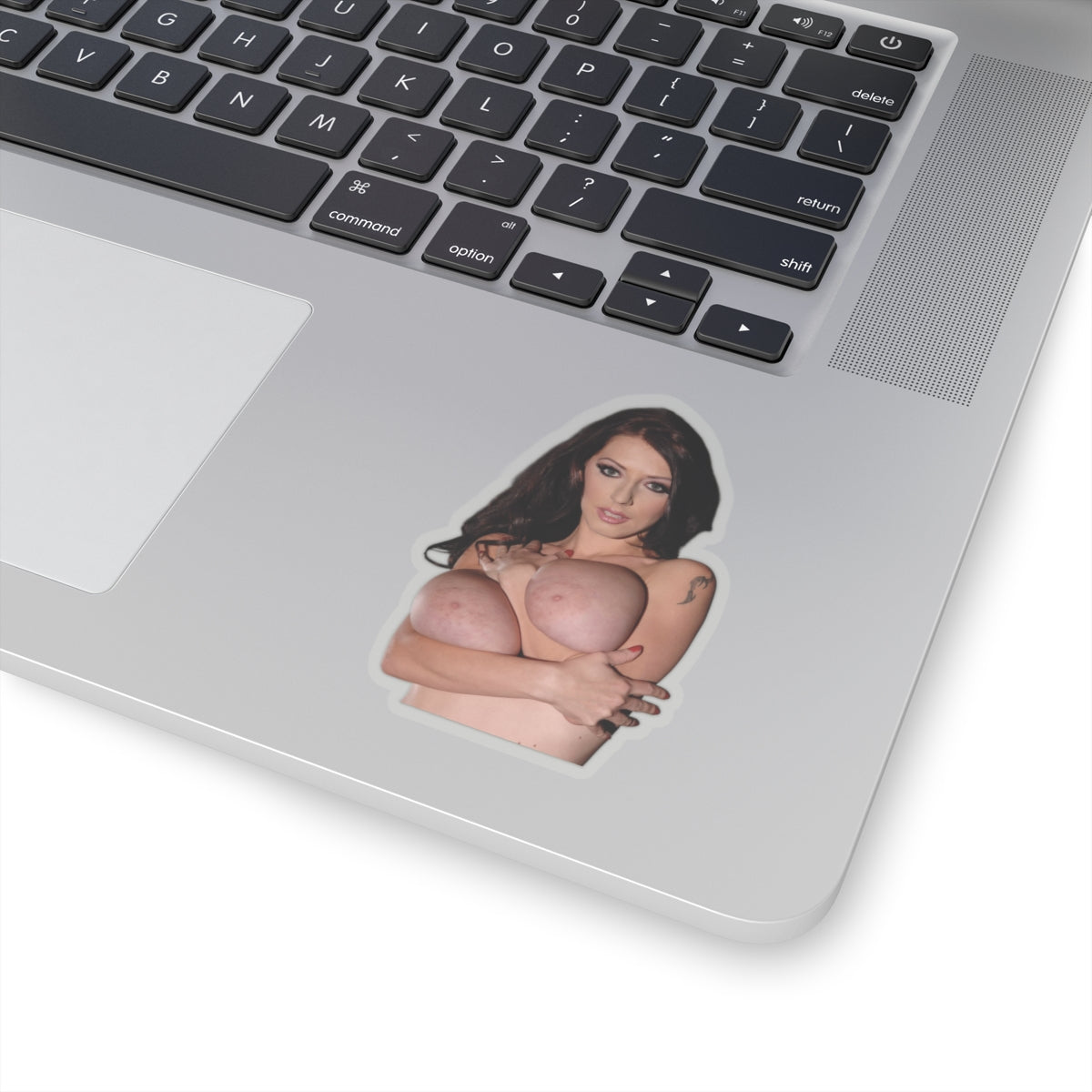 Big Tits Sexy Girl Stickers