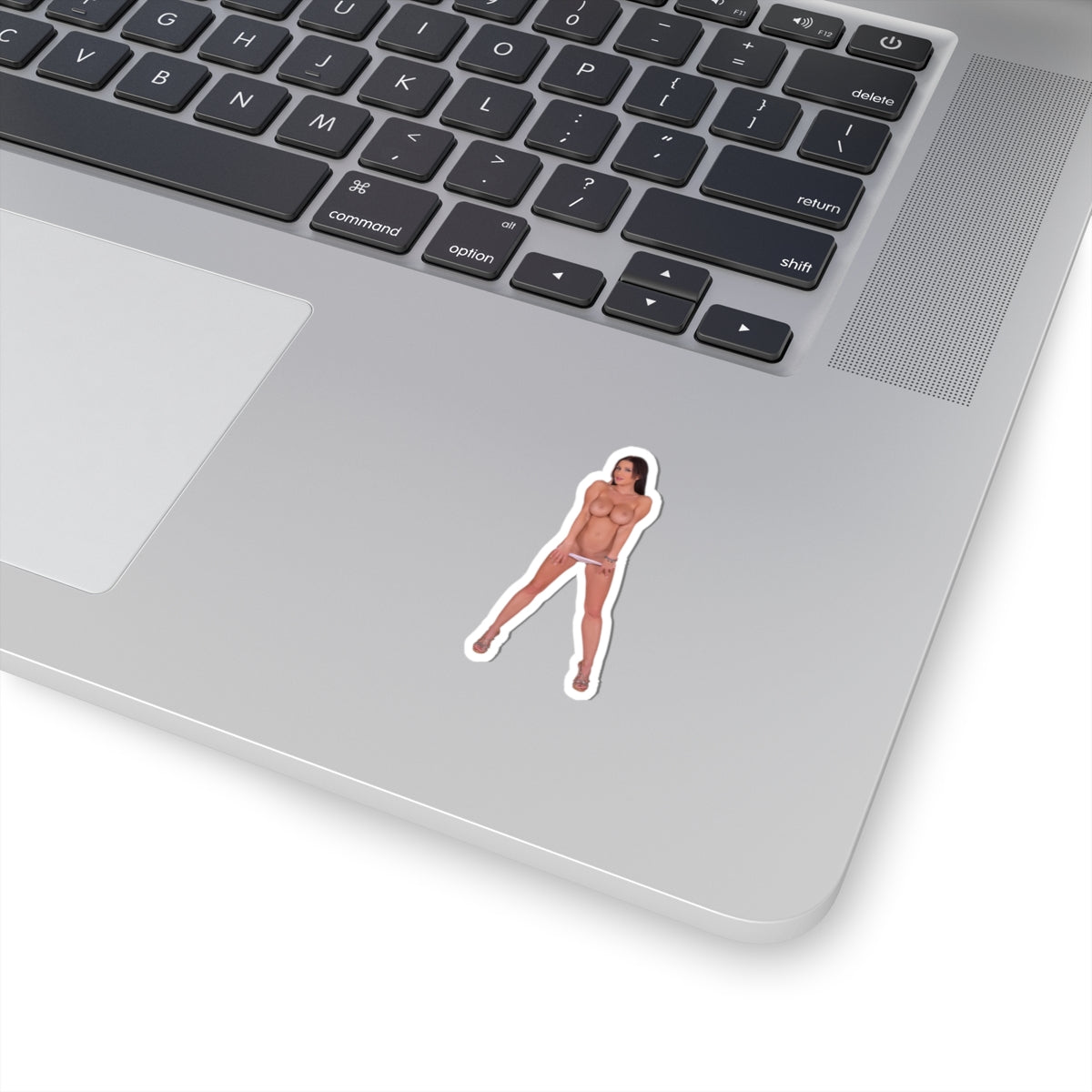 Beautiful Sexy Big Boobs Women Stickers