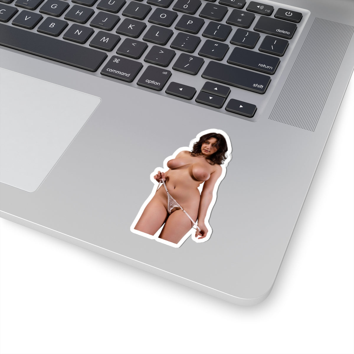 Vintage Sexy Girl Sticker Big Tits Women Erotic Decal
