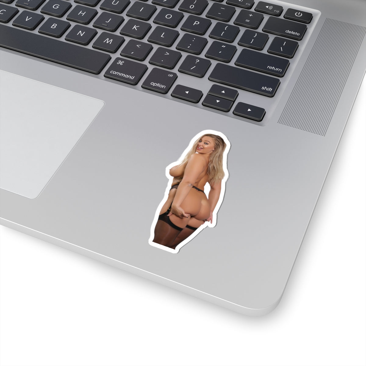 Erotic Sticker Sexy Big Tits Girl Nice Ass Stickers