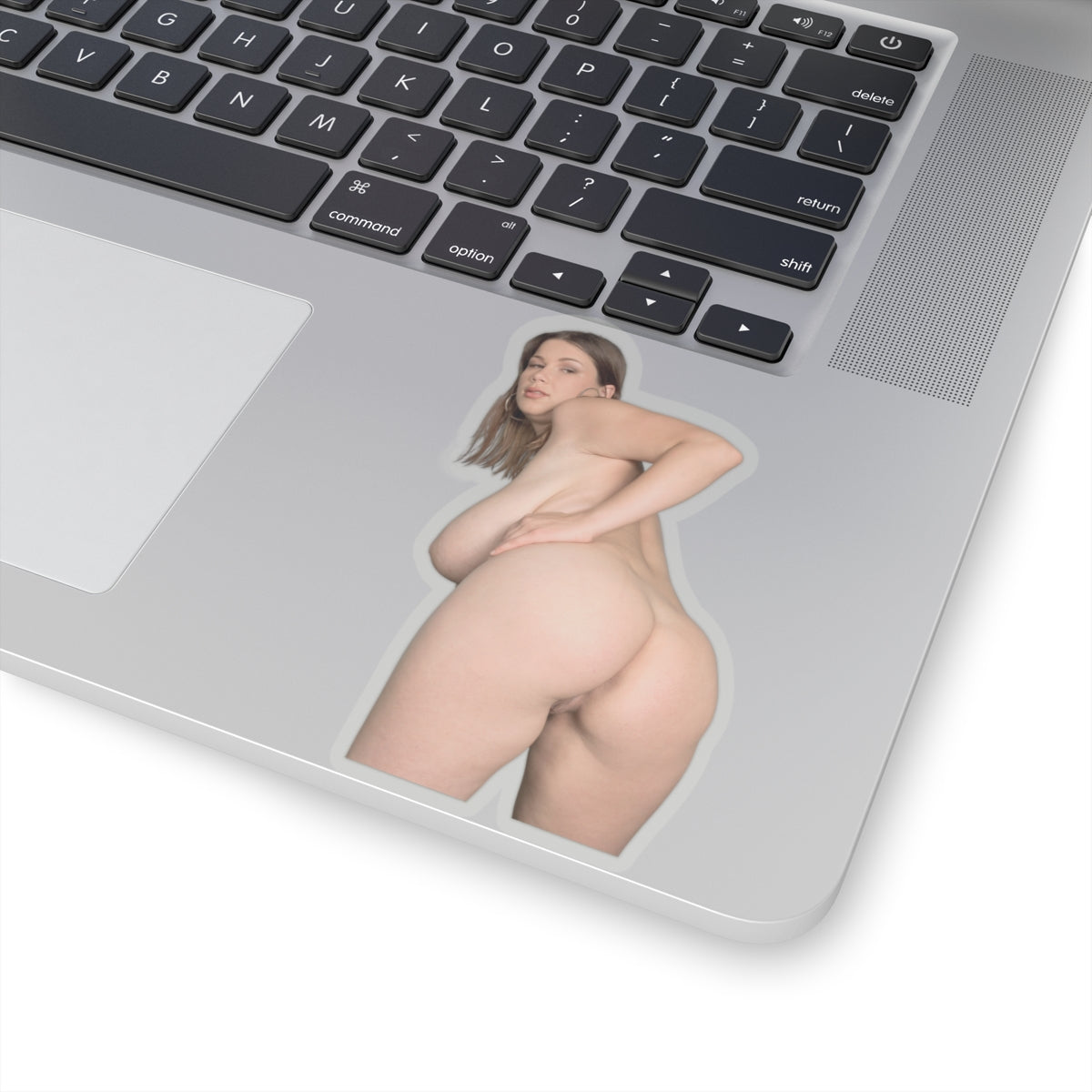 Big Ass Boobs Girl Sticker 2