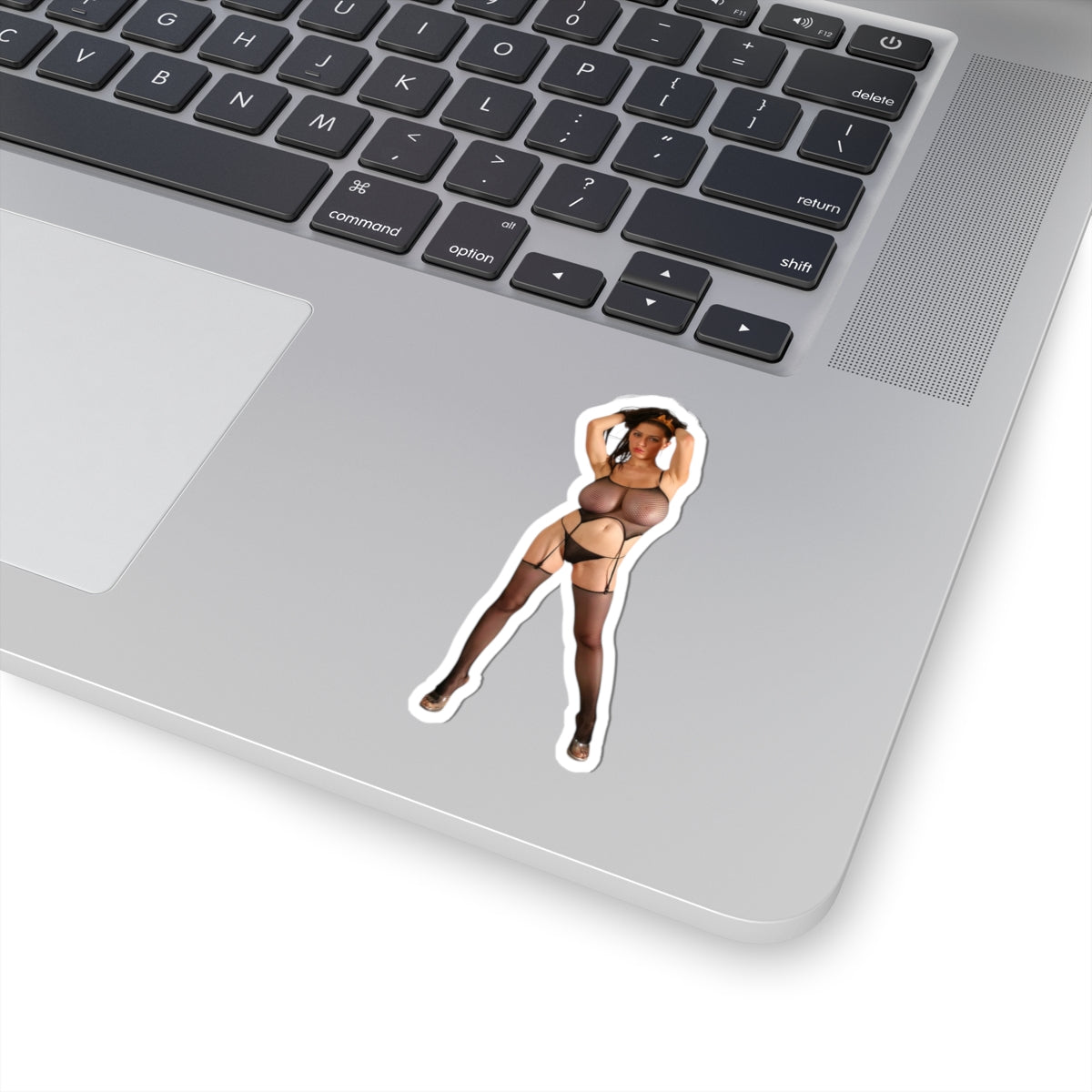 Big Tits Girl Pinup Sticker Sexy Women Boobs Adult Mature Decal
