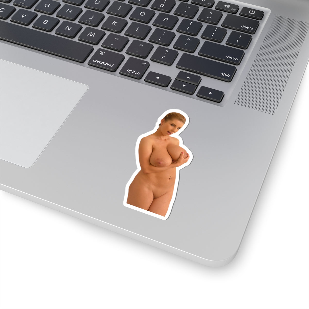 Sexy Girl Naked Sticker Nude Women Big Tits Boobs Stickers